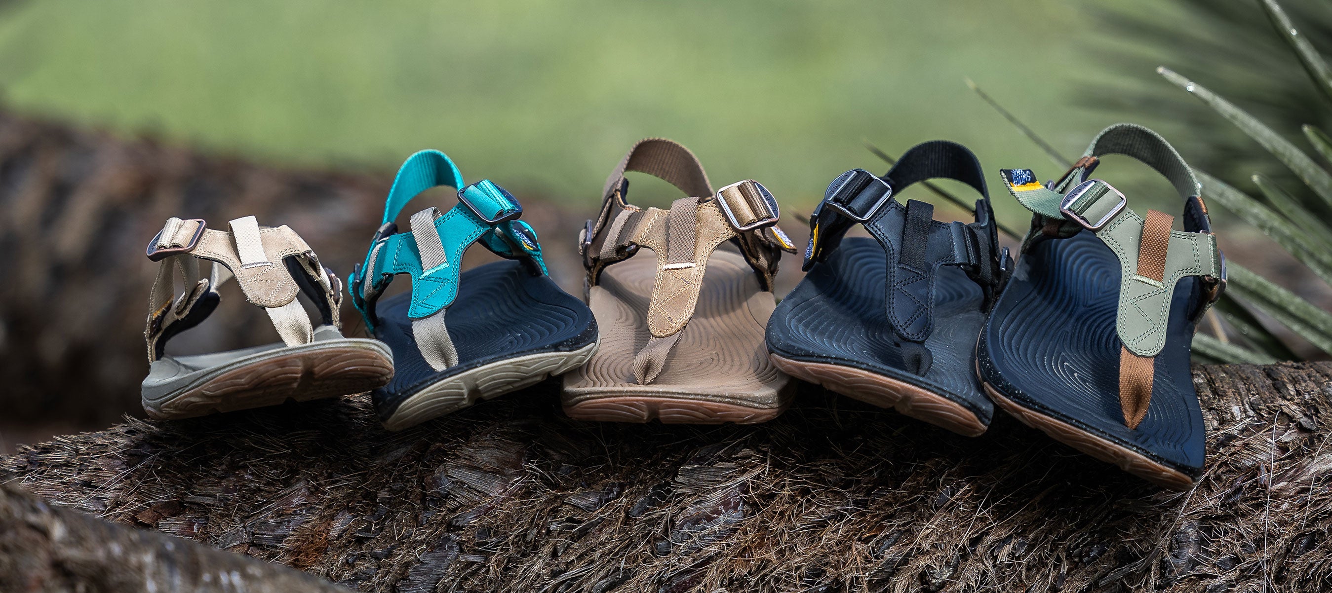 Sun's Out, Shoes Out: The Lems 2026 Summer Gear Guide – Lems Shoes