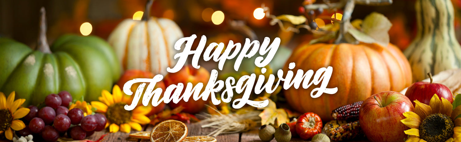 8 Great Ways to Celebrate Thanksgiving Outdoors