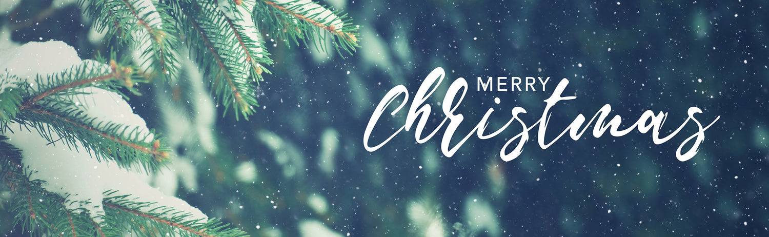 The Best Christmas Activities in Colorado