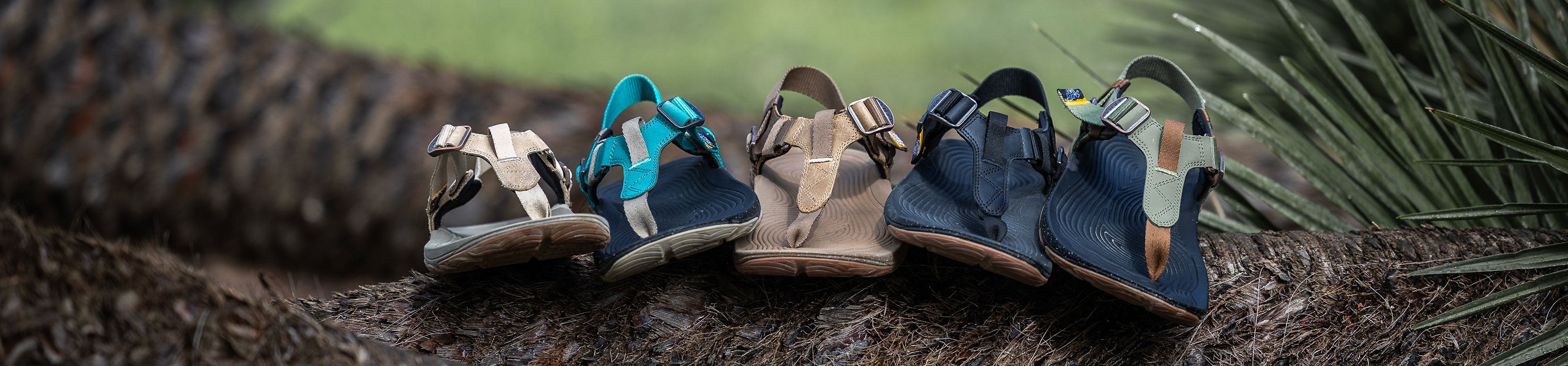 靴 LMNS Spring 2025 New Product Releases – Lems Shoes