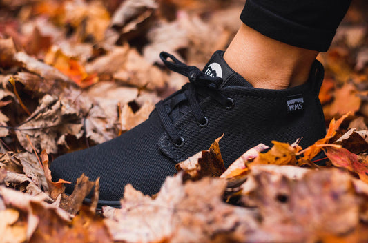 Blackout - FINAL SALE