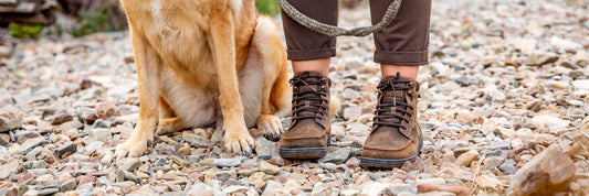 Step into Adventure: 8 Compelling Reasons to Go on a Long Hike this Fall with Lems Shoes