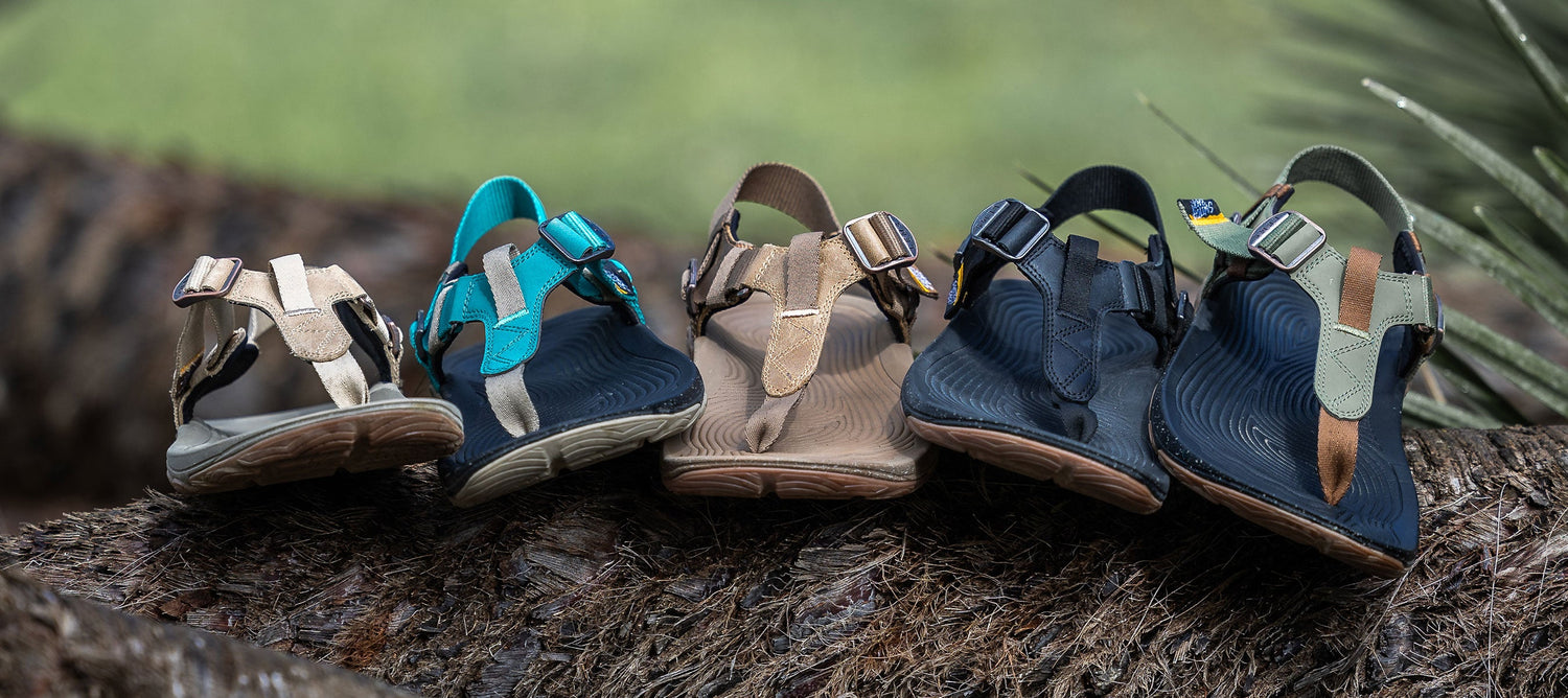 Sun’s Out, Shoes Out: The Lems 2026 Summer Gear Guide