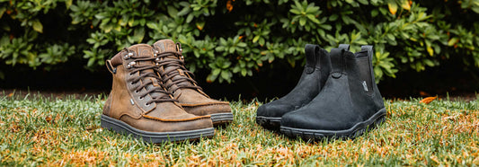 The Comprehensive Shoe Care Guide for Your Lems Shoes