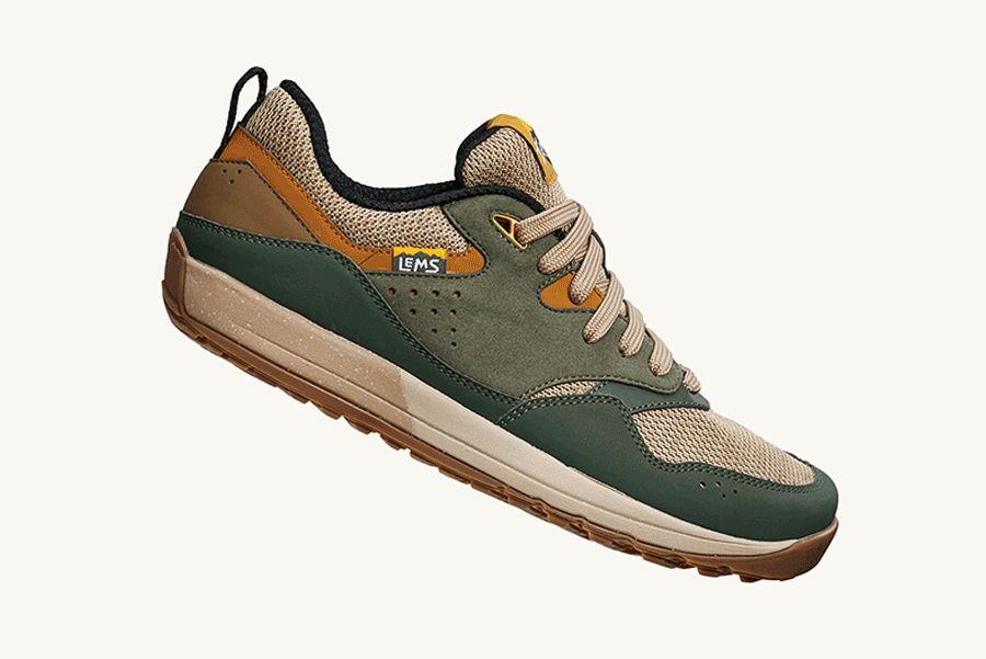 Safari