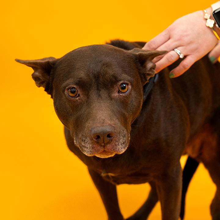 Stefan Hartwig - Founder & Chief Creative Officer