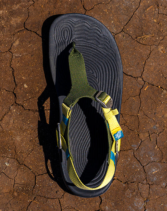 Lems New Product Releases – Lems Shoes